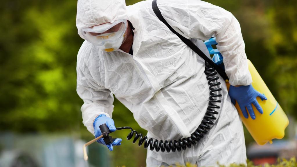 Schädlingsbekämpfung