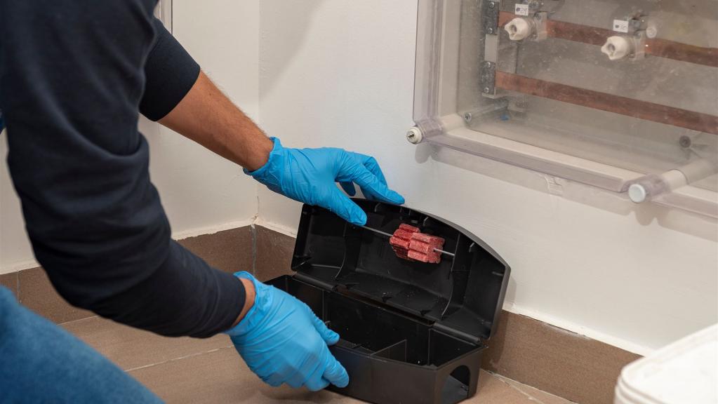 Schädlingsbekämpfung